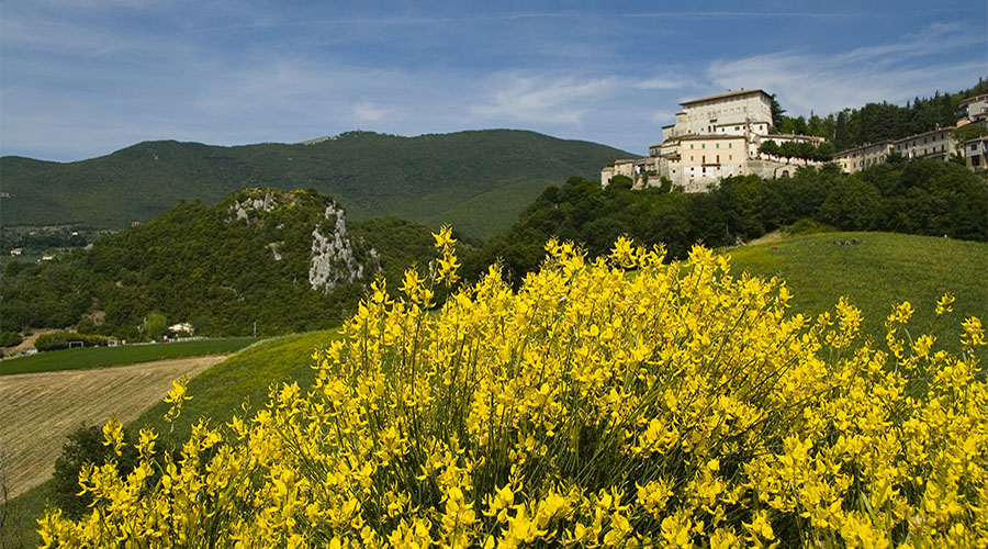 tenaglie montecchio le terre dei borghi verdi