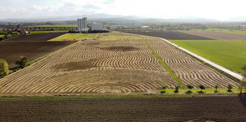 Il Bosco del Molino, 18.000 nuovi alberi alle porte di Parma