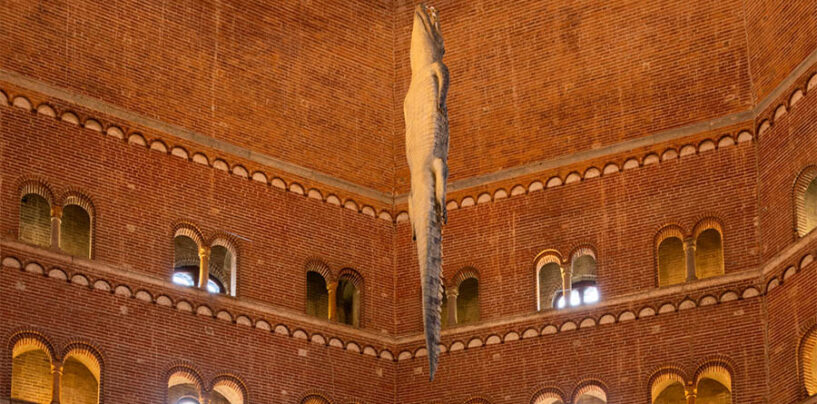 “Ego”, il coccodrillo di Maurizio Cattelan a Cremona