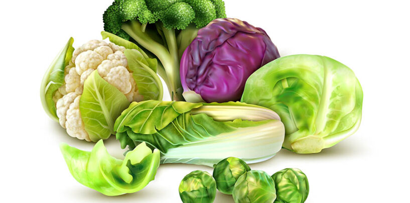 Broccoli e cavoli: verdure d’inverno, salute tutto l’anno