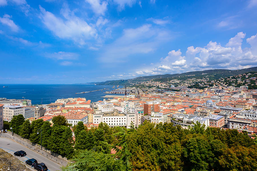 trieste film festival 2024