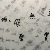 “La Via della Scrittura”, calligrafia in mostra a Venezia