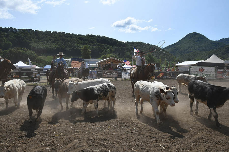 valsassina country festival 2024