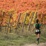 Sagrantino Running 2024: in Umbria si corre tra i vigneti