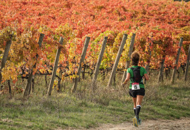 Sagrantino Running 2024: in Umbria si corre tra i vigneti