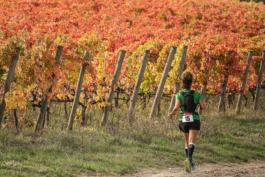 Sagrantino Running 2024: in Umbria si corre tra i vigneti