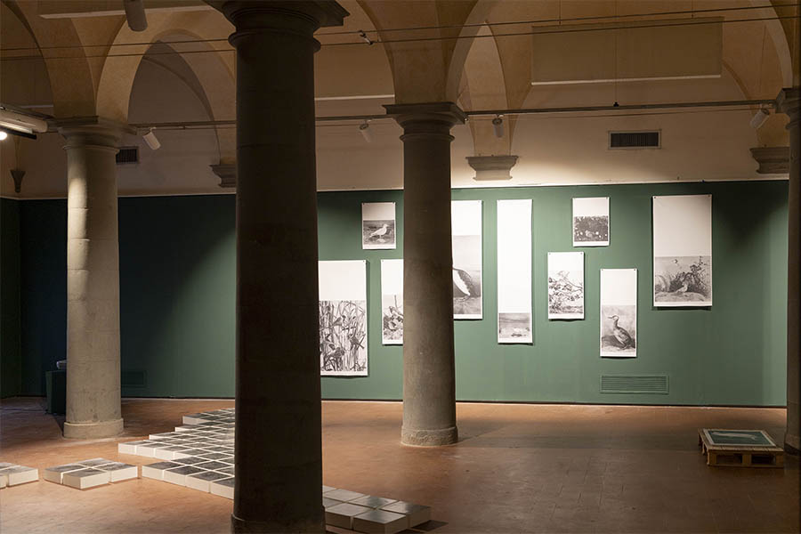 Sguardi contemporanei sugli Archivi Alinari a Firenze