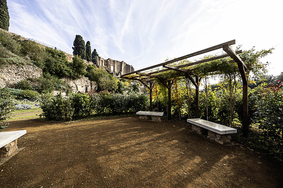 colosseo oasi aurum coronarium